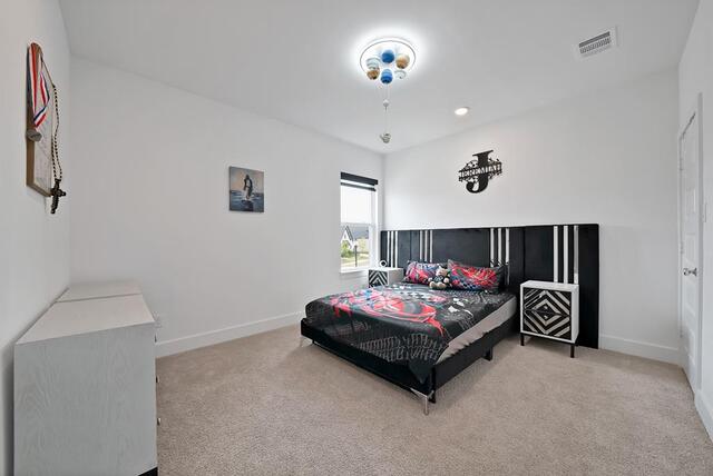 1200 Chickadee, Street Prosper, TX photo 21
