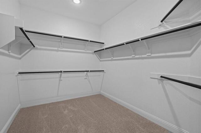 2821 Paddington, Court Celina, TX photo 18
