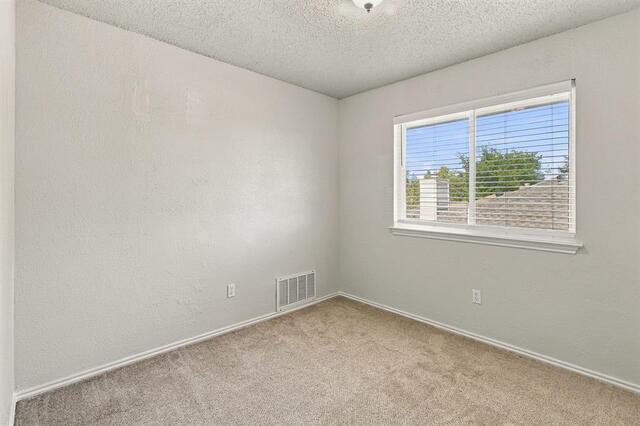 4205 Red Spruce, Lane Carrollton, TX photo 22