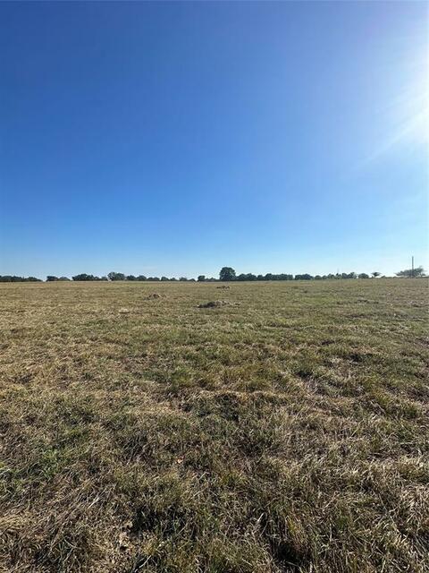 TBD Cr 44880, Blossom