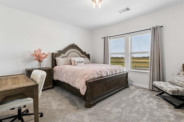 16409 Flatlands, Way Celina, TX photo 28