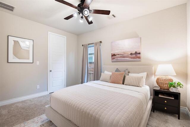 8620 Holliday Creek, Way McKinney, TX photo 21