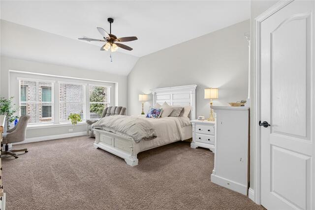 628 Lake Cove Drive, Little Elm, TX photo 19