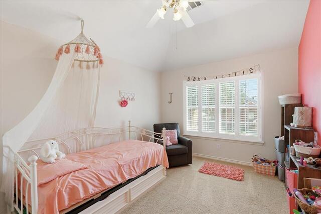2509 Sycamore Leaf Lane, Flower Mound, TX photo 32