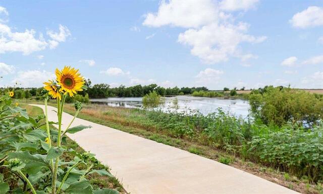 3305 Big Stump, Court Celina, TX photo 29