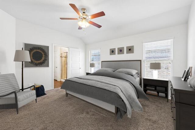 3204 Brazos Drive, Little Elm, TX photo 6