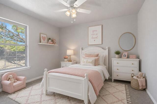 1312 Wentworth, Drive Lewisville, TX photo 29