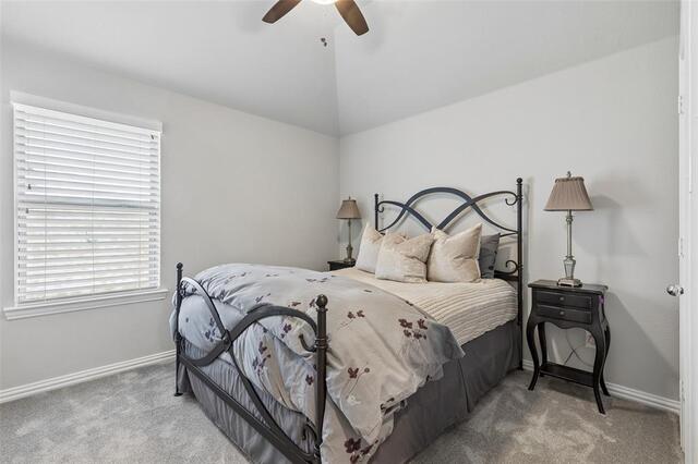 2500 Ever Birch, Way McKinney, TX photo 34