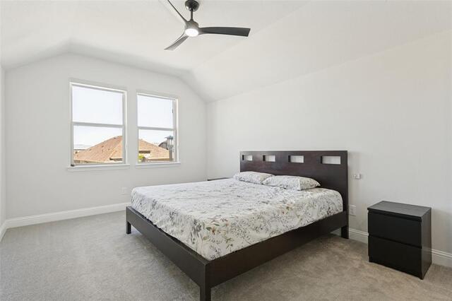 1508 Kurelek Drive, Little Elm, TX photo 15