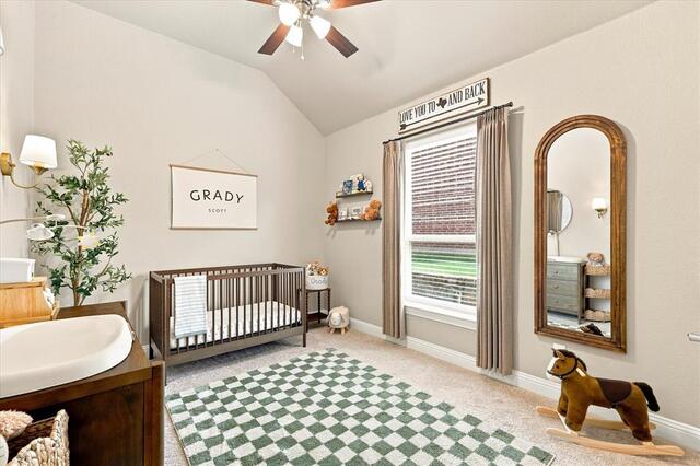 6309 Willow Ridge Trail, Flower Mound, TX photo 29