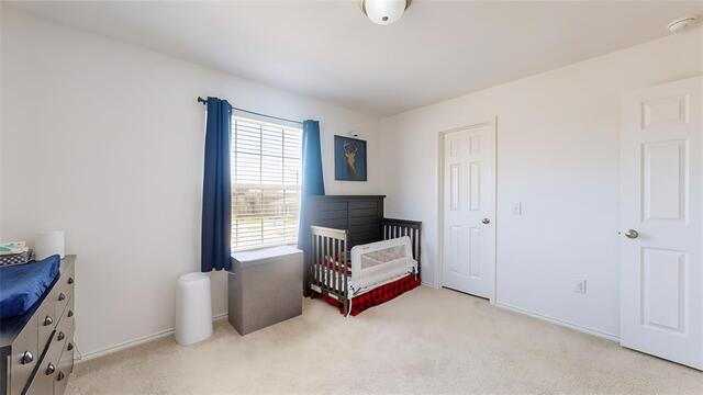 2520 Pecan Park, Drive Denton, TX photo 29