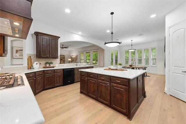 5405 Squeezepenny, Lane McKinney, TX photo 9