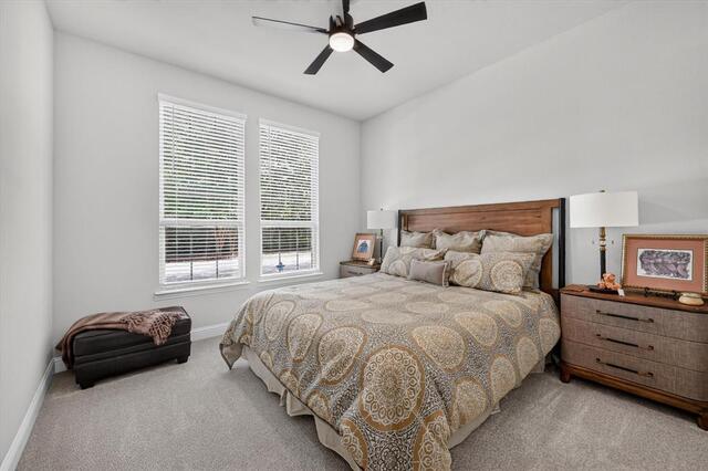 16195 Mapleshade, Drive Frisco, TX photo 19