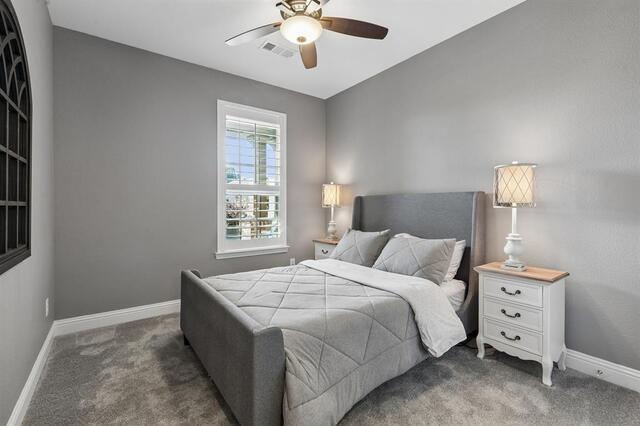 2500 Ever Birch, Way McKinney, TX photo 14