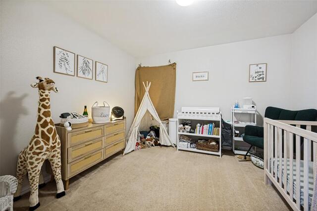 310 Conroe, Circle Argyle, TX photo 19