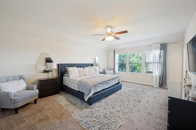 2261 Barx Drive, Little Elm, TX photo 22