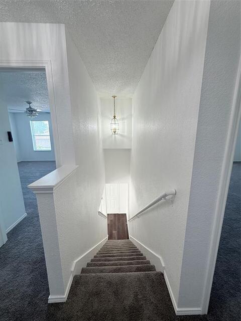 1212 Rambling Brook, Trail Denton, TX photo 17
