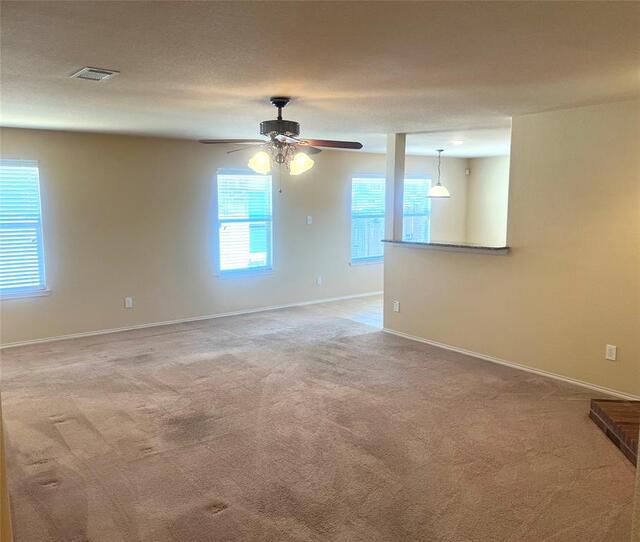 1417 Lone Pine Drive, Little Elm, TX photo 13