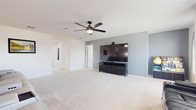2520 Pecan Park, Drive Denton, TX photo 22