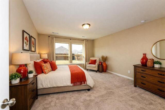 3517 Iron Horse Drive, Little Elm, TX photo 15