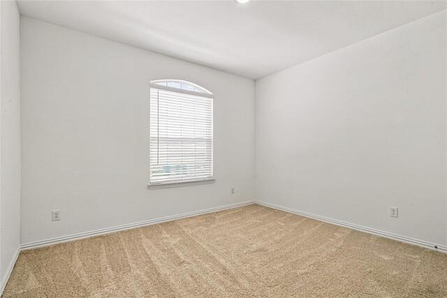 8709 Red Fox, Trail McKinney, TX photo 29