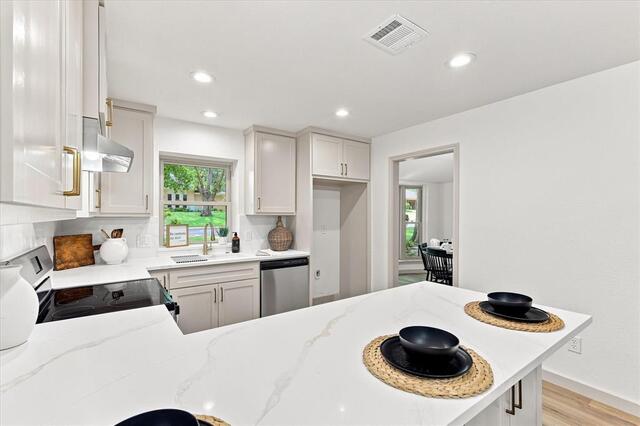 1419 San Antone, Lane Lewisville, TX photo 12