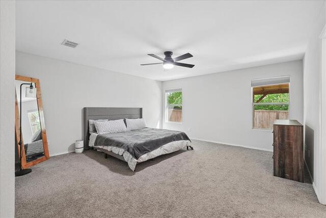 2709 White Oak Drive, Little Elm, TX photo 19