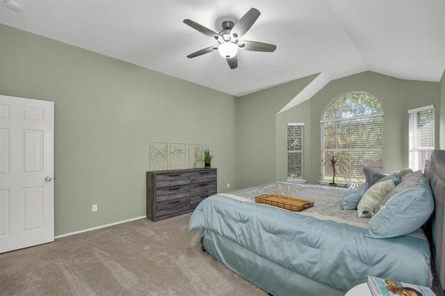 820 Wind Elm, Drive Allen, TX photo 17