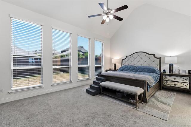 2901 Stonefield, The Colony, TX photo 18