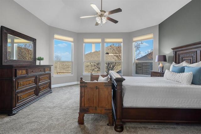 236 Sunrise, Drive Argyle, TX photo 19