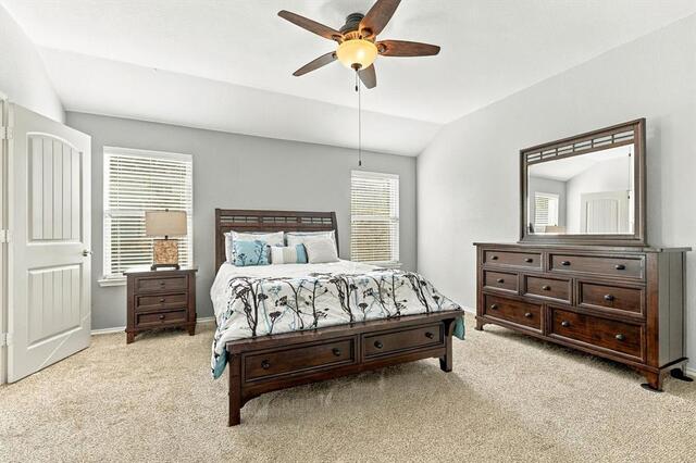 1117 Lake Hollow Drive, Little Elm, TX photo 9