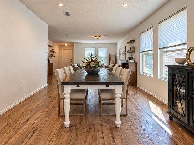 2708 Vasey Oak Drive, Little Elm, TX photo 20