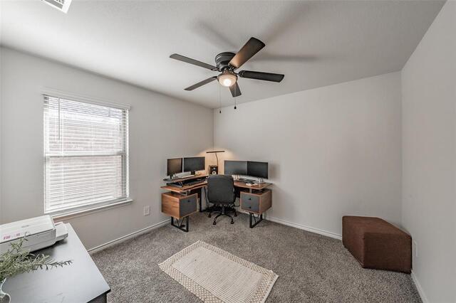 317 Willowmore Drive, Little Elm, TX photo 27
