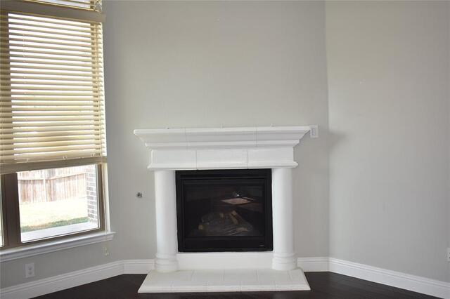 1009 Olivia, Drive Lewisville, TX photo 10