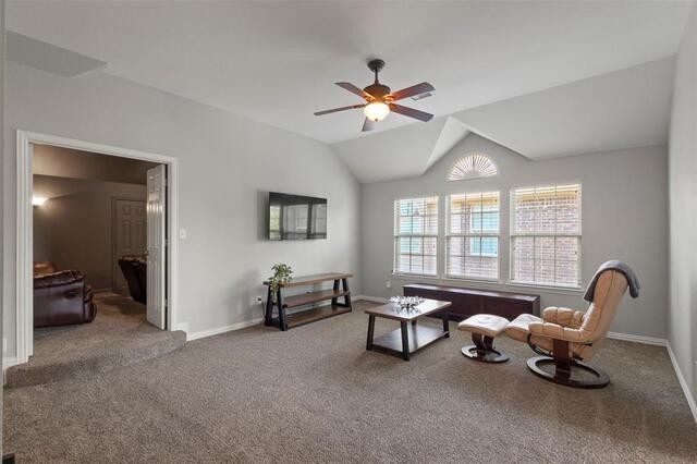13909 Sparrow Hill Drive, Little Elm, TX photo 23