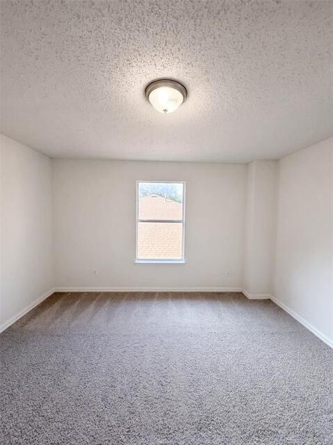 441 Longshore Drive, Little Elm, TX photo 15