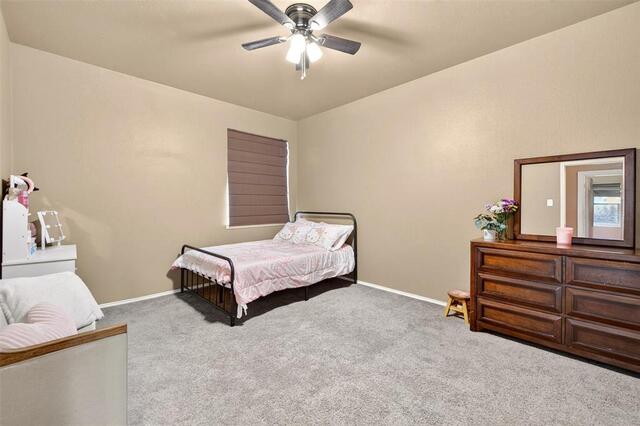 2600 Winterberry Lane, Little Elm, TX photo 26