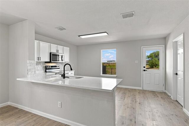 2708 Morning Song Drive, Little Elm, TX photo 8