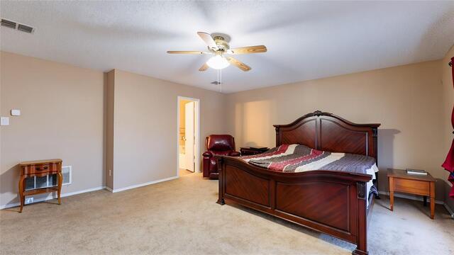 2501 Ash Drive, Little Elm, TX photo 16