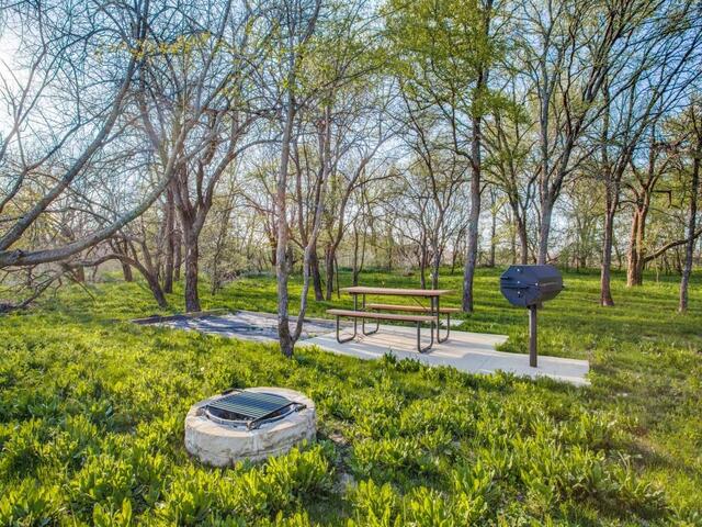 708 Kendall, Lane Celina, TX photo 34