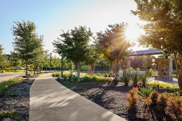 9362 Winter Bloom, Street Frisco, TX photo 34