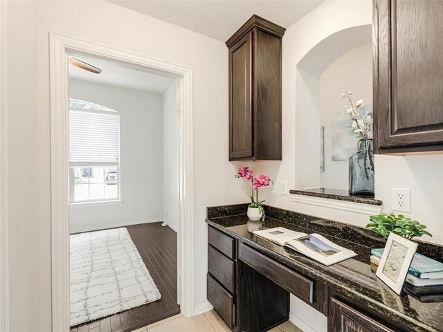 1317 Wheatear Drive, Little Elm, TX photo 9