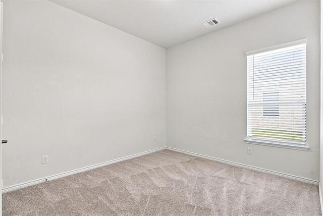 13409 Sueca Drive, Little Elm, TX photo 19