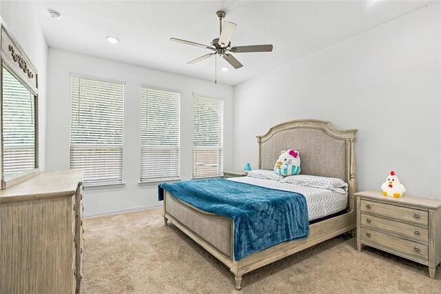 8709 Red Fox, Trail McKinney, TX photo 14