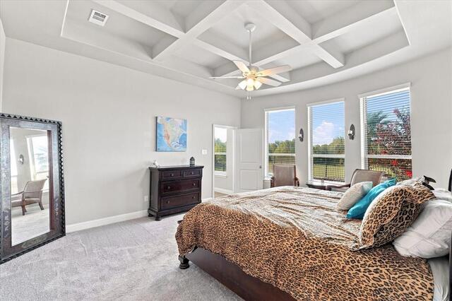 1305 Chiva Drive, Little Elm, TX photo 19