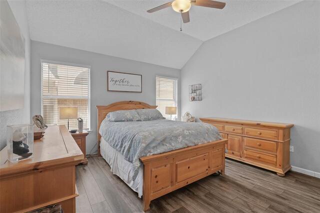 307 Trailwood, Drive Allen, TX photo 13