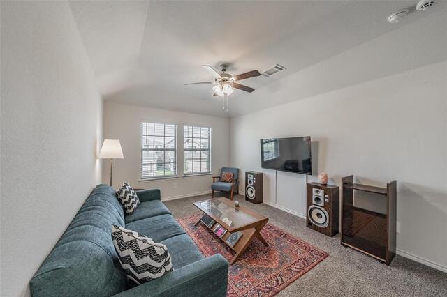 317 Willowmore Drive, Little Elm, TX photo 21
