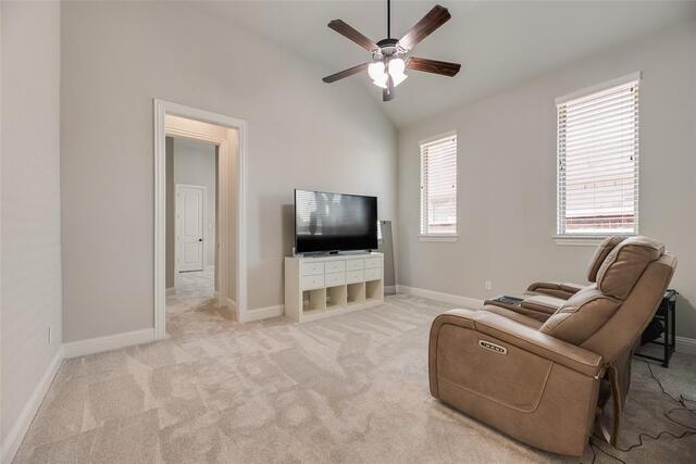3815 Alleyton, Way Celina, TX photo 23