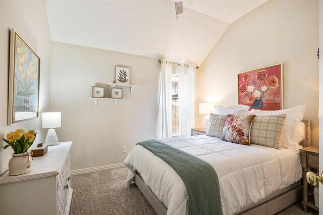 11100 New Orleans, Drive Frisco, TX photo 17