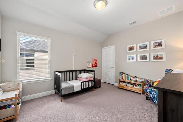7503 Switchgrass, Road Frisco, TX photo 25